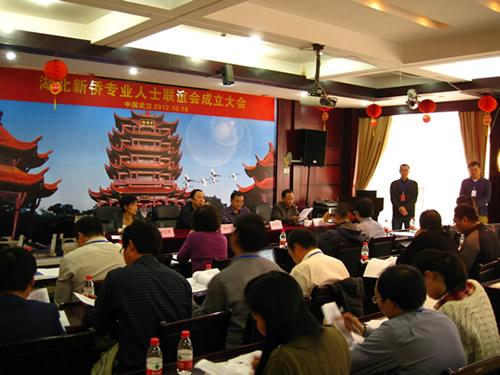 陳義紅博士當(dāng)選湖北新僑專業(yè)人士聯(lián)誼會首屆會長