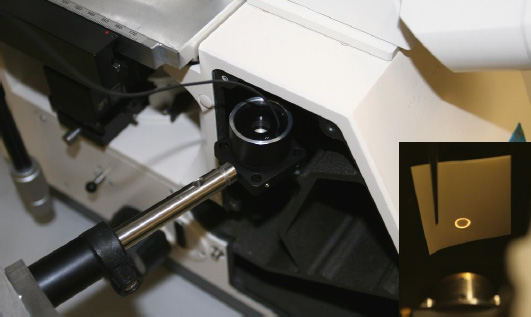 用于寬視場、共焦、雙光子和檢測顯微鏡的可調焦距鏡頭