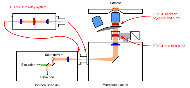 在典型的倒置激光掃描顯微鏡中實現(xiàn)基于 ETL 的聚焦的三種不同方案