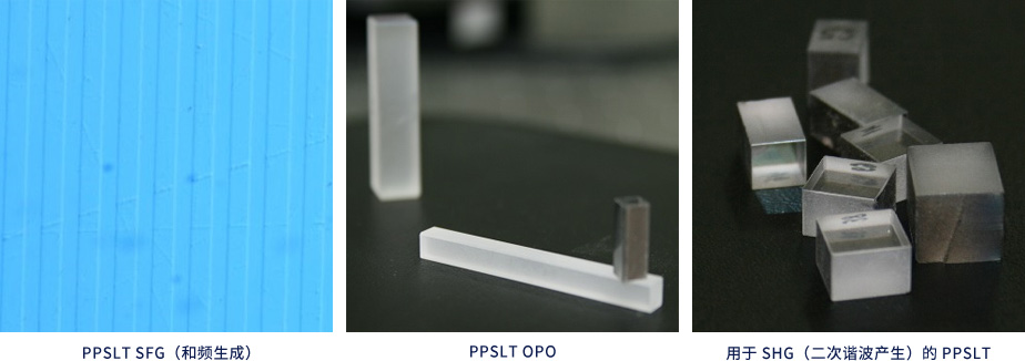 PPSLT晶體
